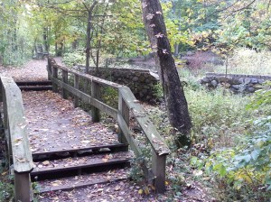 Bridge and Boggy Pool