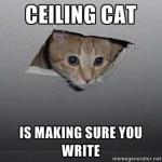 ceiling-cat-write
